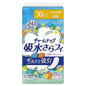 `[ibv ztBS̏ʗpi30ccj 22 pivLTCY