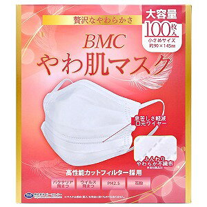 BMC 픧}XN ߃TCY 100