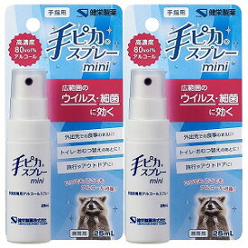 手ピカスプレーmini 25ml×2個セット メール便送料無料