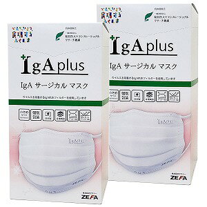 IgA R̃}XN (߃TCY) 20×2Zbg