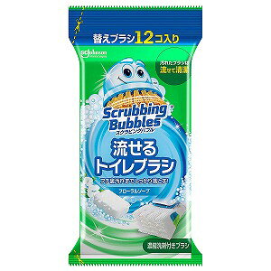 XNrOou gCuV ۏLvX t[\[v t 12