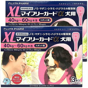 ypiz }Ct[K[h p XL (40kg~60kg) 4.02ml×3{(gp 2026.1)