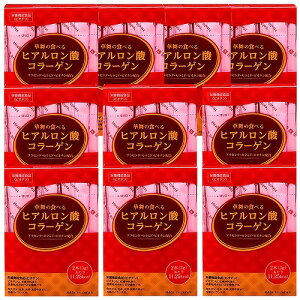 ؕ̐HׂqA_R[Q XeBbN 30{