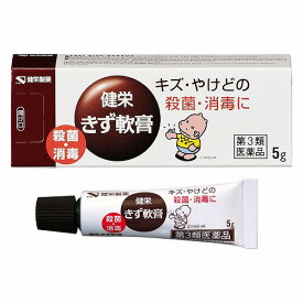 【第3類医薬品】健栄きず軟膏 5g メール便送料無料