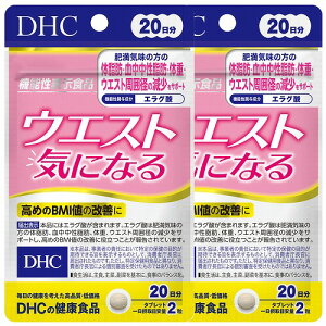 DHC EGXgCɂȂ 20 40×2Zbg [֑