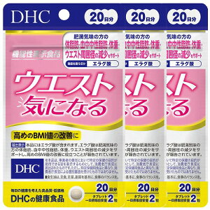 DHC EGXgCɂȂ 20 40 [֑