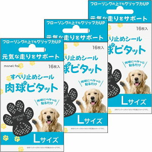 ׂ~߃V[ s^bg LTCY 16 [֑