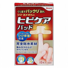 池田模範堂 ヒビケアパッド 10枚入