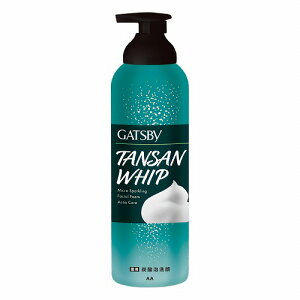 GATSBY ギャツビー マイクロスパークリング泡洗顔アクネケア 200g 医薬部外品