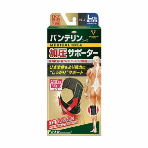 oeR[ T|[^[ Ђp Œ^Cv ubN 傫 LTCY [֑