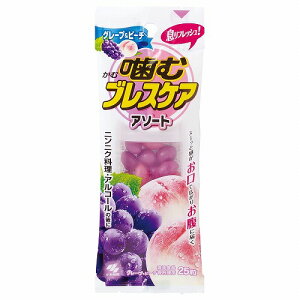 ރuXPA A\[g^Cv 25(O[vs[`)