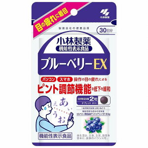 ѐ u[x[EX 60 (30)