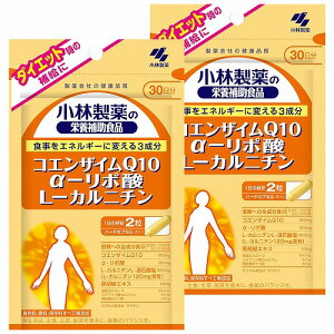 ѐ RGUCQ10E-|_EL-Jj` 60i30j×2Zbg [֑