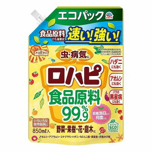 A[XK[f ns GRpbN 850mL