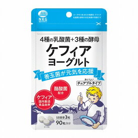 ケフィアヨーグルトチュアブル 90粒 メール便送料無料