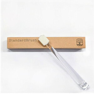 �@���u���V Standard Brush M�T�C�Y ���[���֑�������