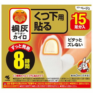 ˊDJC p \ ܐ x[W 15