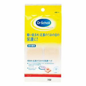 hN^[V[ ܂ߕیpbh 4 [֑