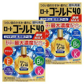 【第3類医薬品】ロートゴールド40クールEX 20mL×2個セット ※セルフメディケーション税制対象商品 メール便送料無料