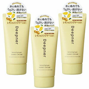 ߍ]Z ^[ fB[vi[ nhN[ WW[̍ 40g [֑