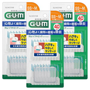 TX^[ K \tgsbN  SS-M ׂ^Cv 40{ [֑