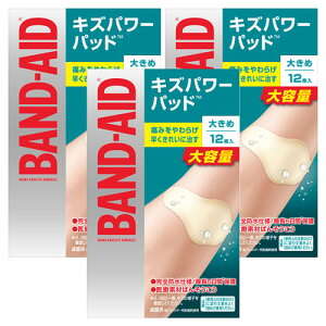 ohGCh LYp[pbh 傫߃TCY 12 [֑