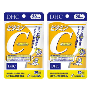 DHC 20 r^~Cin[hJvZj 40×2Zbg [֑