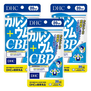 DHC 20 JVE{CBP 80 [֑