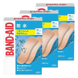 ohGCh h^Cv MTCY 40 [֑