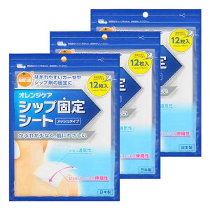 IWPA VbvŒV[g 12 [֑