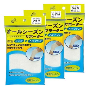 I[V[YT|[^[ Ђ MTCY 1 [֑