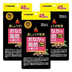 黒しょうが効果 90粒 メール便送料無料