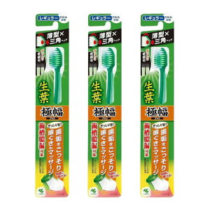 ѐ ti傤悤jɕuV M[ 炩(1{) [֑