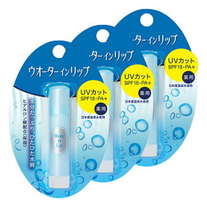 �E�H�[�^�[�C�����b�v ��p�X�e�B�b�NUV f 3.5g ���[���֑�������