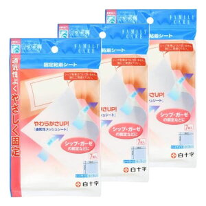 t@~[PA FC LYیpbh ŒSV[g(7) [֑