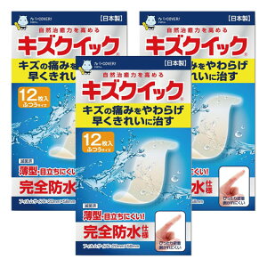 LYNCbN ӂTCY 12 [֑