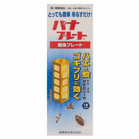 【第1類医薬品】 パナプレートL 120g 1枚入