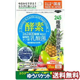 ミナミヘルシーフーズ　酵素＋植物性乳酸菌　62球 メール便送料無料_