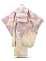 楽天市場】蝶（対象（性別/子供）女の子（キッズ）・七五三7歳）（着物 