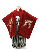 楽天市場】もみじ 紅葉（七五三5歳）（キッズ・ベビー・マタニティ）の通販