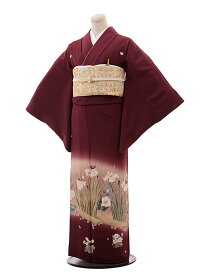 楽天市場 菖蒲 衣装の通販