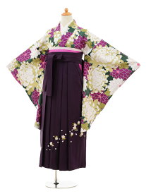 【レンタル】〔小学校 卒業式〕〔卒業式袴セット 小学生〕〔袴セット〕ジュニア袴女児9148 グリーン菊×パープル袴【往復送料無料】【☆新品足袋プレゼント☆】【小学生 卒業式 袴 女の子】(10P03Dec16)