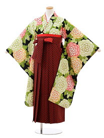 卒業式袴セット 小学生 ジュニア袴 レンタル 小学生 卒業式袴レンタル 女の子 9945 紅一点 黒地 花×赤チェック袴 袴レンタル 卒業式 袴セット 卒業袴 小学校の卒業式 十三参り 女児 12歳 12才 ジュニア 新品足袋プレゼント 往復送料無料【レンタル】