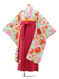 卒業式袴セット 小学生 ジュニア袴 レンタル 小学生 卒業式袴レンタル 女の子 z002 ペパーミントグリーンストライプ椿×ピンク袴 袴セット 卒業袴 十三参り 女児 12歳 12才 ジュニア 新品足袋プレゼント 往復送料無料【レンタル】