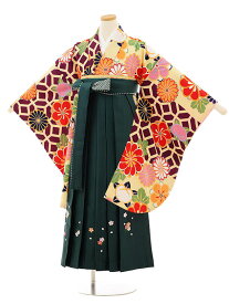 卒業式袴セット 小学生 ジュニア袴 レンタル 小学生 卒業式袴レンタル 女の子 9807 紫地菊梅×グリーン袴 袴レンタル 卒業式 袴セット 卒業袴 小学校の卒業式 十三参り 女児 12歳 12才 ジュニア 新品足袋プレゼント 往復送料無料【レンタル】