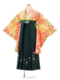 卒業式袴セット 小学生 ジュニア袴 レンタル 小学生 卒業式袴レンタル 女の子 9864サーモンピンク花×グリーン袴 袴レンタル 卒業式 袴セット 卒業袴 小学校の卒業式 十三参り 女児 12歳 12才 ジュニア 新品足袋プレゼント 往復送料無料【レンタル】