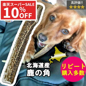 yX[p[SALEz̊p ̂  O 20cm kC  VR   p  p Y   hbOK f^PA  f^ ΍ Y 