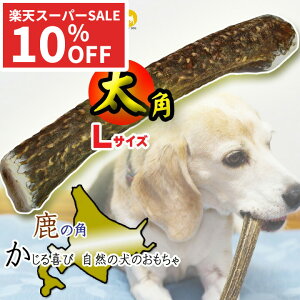 yX[p[SALEz̊p  p LTCY ^ kC Y p ̂ ̂   Ck p    hbOK f^PA f^  f