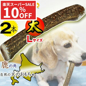 yX[p[SALEzy2{Zbgz̊p  p LTCY kC Y p ̂   Ck p    hbOK f^PA  f^ ΍ Y