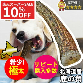 【最終日★300円クーポン】鹿の角 鹿 角 XLサイズ 大型犬 北海道 国産 鹿角 犬のおもちゃ 犬のおやつ 犬 いぬ イヌ 犬用 噛む おもちゃ おやつ ドッグガム デンタルケア デンタル効果 デンタルガム デンタル 対策 いたずら防止 ペット プレゼント 誕生日